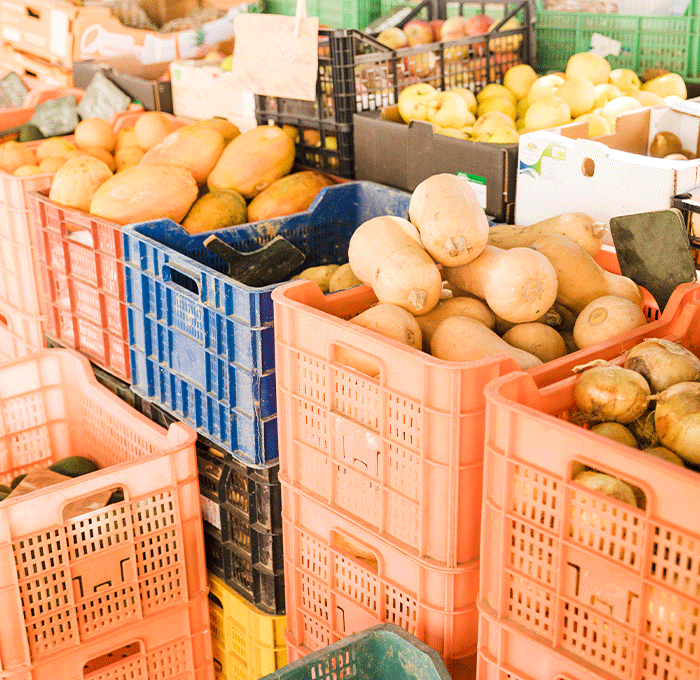 Bulk & Wholesale Solutions